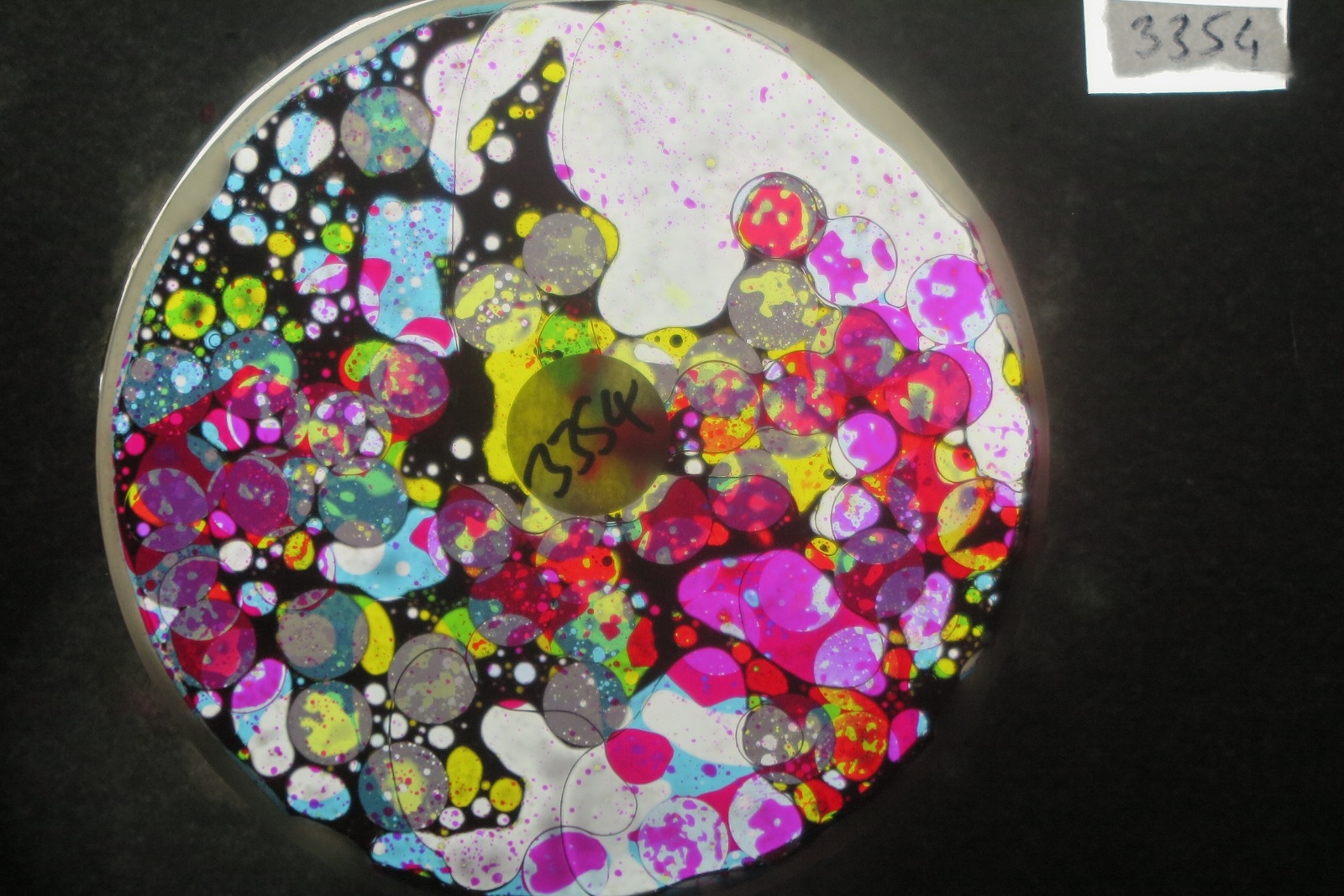 BV3354 bubble vision oil wheel